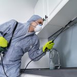 Side View Of Exterminator In Workwear Spraying Pesticide In Kitc